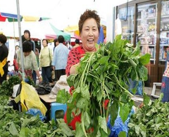 [상품코드 5600] [정선 1박2일] KTX 동해바다*정선 가리왕산케이블카&레일바이크*옥산장 우수여행상품선정(가이드동행)(전일정식사제공4식)