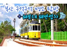 [상품코드 9894][ 1박2일 - 부산명소 기차여행 - 대전/동대구 출발 ] KTX - 부산 명소 탐방 & 해운대 해변열차 & 태종대 여행 (1박2일)-호텔급 4명출발확정