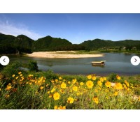 [상품코드 3450]  왕과사는남자 & 백두대간협곡열차  [KTX이음] 충절의 고장 영월 & 협곡열차 하루 기차여행 (서울출발)