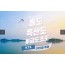 [상품코드 2900] 2박3일 - 홍도흑산도여행 ★KTX-경부선 (오송환승)★ 홍도 흑산도 비금/도초  [부산/울산/동대구출발 오송환승] (흑산도버스투어 포함)