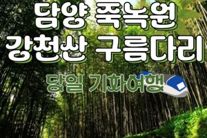 [상품코드 8991] [ 당일 - 담양기차여행 ] KTX / SRT - 담양죽녹원 & 강천산 구름다리 & 메타세콰이어(중식제공)