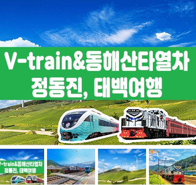 [ 당일 - 협곡열차 태백택시투어 1코스 ]  V-train& 동해산타열차 정동진, 태백택시투어