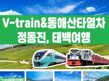 [ 당일 - 협곡열차 태백택시투어 1코스 ]  V-train& 동해산타열차 정동진, 태백택시투어