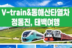 [ 당일 - 협곡열차 태백택시투어 1코스 ]  V-train& 동해산타열차 정동진, 태백택시투어