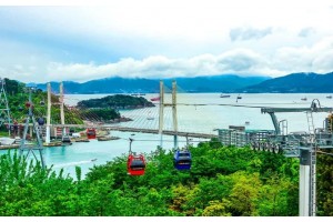 [상품코드 8784] 당일 - 여수 케이블카/낭만요트여행  내품안에여수!! 요트탑승, 케이블카,오동도 [4명출발확정][무궁화-수원/천안/서대전/익산/전주 출발]