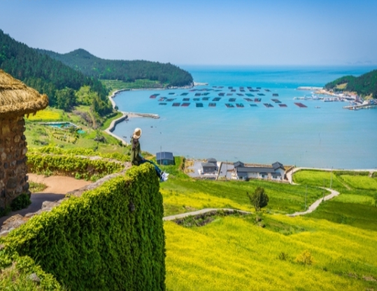 [상품코드 4484][1박2일 - 청산도 기차여행] - KTX / SRT   - 시인의 섬 완도 보길도/푸르른 청산도 땅끝여행 1박2일