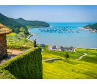 [상품코드 4484][1박2일 - 청산도 기차여행] - KTX / SRT   - 시인의 섬 완도 보길도/푸르른 청산도 땅끝여행 1박2일