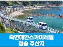 [ 당일기차여행 수도권/충청출발 ] - 죽변해안스카이레일&청송 주산지(당일)  서울/경기/충청/부산 출발 [중,석식제공]