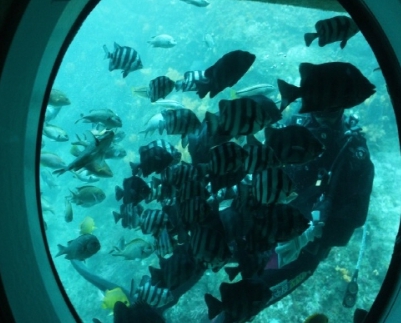 [상품코드 4050] 2박3일 제주도여행  [노팁!노옵션!] 제주도 2박3일 버스PKG관광 마라도일주 + 서귀포잠수함 + 우도8경(2명출발확정)