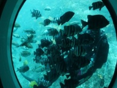 [상품코드 4050] 2박3일 제주도여행  [노팁!노옵션!] 제주도 2박3일 버스PKG관광 마라도일주 + 서귀포잠수함 + 우도8경(2명출발확정)