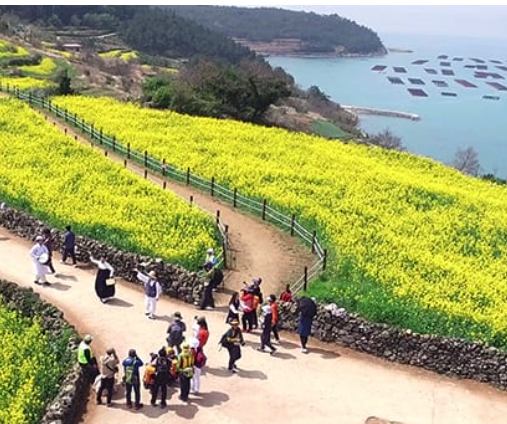 [상품코드 8744] 1박2일 - 청산도기차여행   KTX  남도여행  강진 가우도 보성녹차밭 여행 [서울/제천출발]