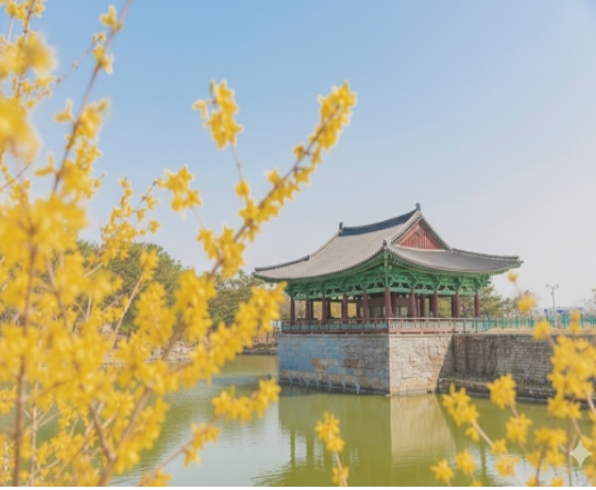 [상품코드 4040][ 2박3일 - 경주,울산,부산여행 ] KTX / SRT ♠호텔♠ 금빛고운 경주+국가정원 울산+쪽빛바다 부산여행