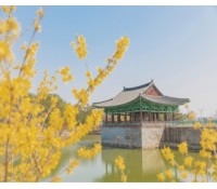 [상품코드 4040][ 2박3일 - 경주,울산,부산여행 ] KTX / SRT ♠호텔♠ 금빛고운 경주+국가정원 울산+쪽빛바다 부산여행