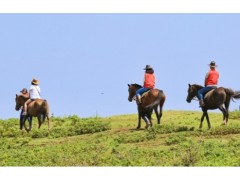 [상품코드 4456] 2박3일 제주도여행 [5성호텔+6식제공+노팁노옵션]제주도 2박3일 마라도일주 + 우도8경(2명출발확정)