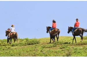[상품코드 4456] 2박3일 제주도여행 [5성호텔+6식제공+노팁노옵션]제주도 2박3일 마라도일주 + 우도8경(2명출발확정)