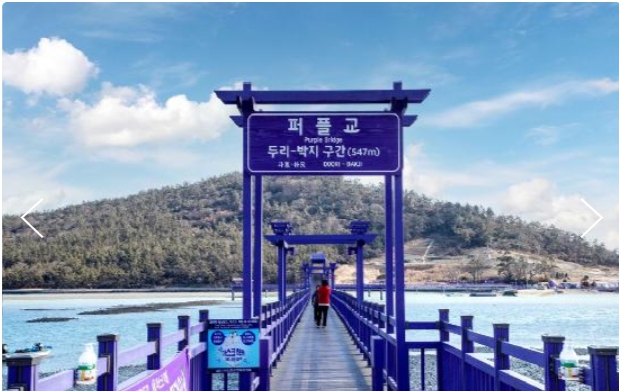[상품코드 9023][ 1박2일 - 퍼플섬기차여행 ] - KTX / SRT - 비금ㆍ도초도 & 강진 가우도 & 천사의다리 퍼플교 & 목포 해상케이블카 여행