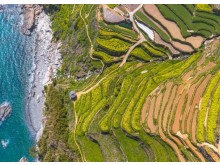 [상품코드 4909] 1박2일 - 독일마을기차여행  - KTX 보물섬 남해별미! 보리암+사천케이블카+독일마을(전일정식사제공4식)