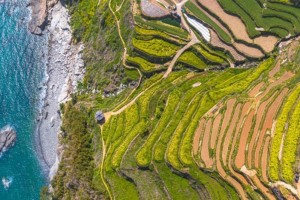 [상품코드 4909] 1박2일 - 독일마을기차여행  - KTX 보물섬 남해별미! 보리암+사천케이블카+독일마을(전일정식사제공4식)