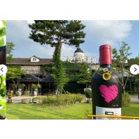 [상품코드 1800] 당일 와인열차여행 5월 9,10,14,23일 영동 와이너리 / 김천 직지사+사명대사공원