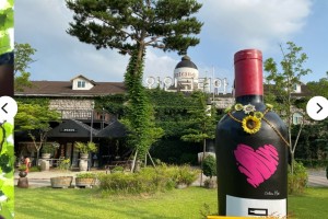 [상품코드 1800] 당일 와인열차여행 5월 9,10,14,23일 영동 와이너리 / 김천 직지사+사명대사공원