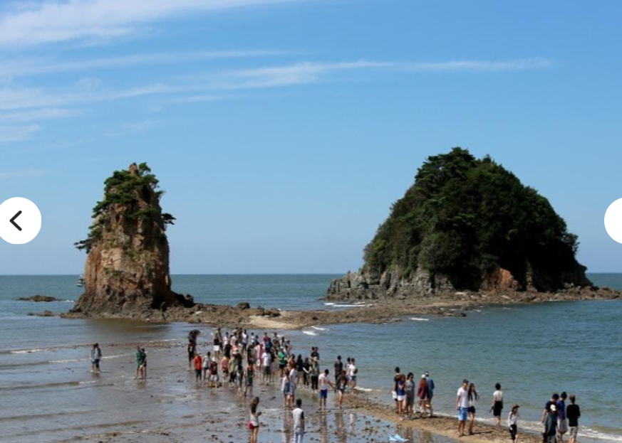 [ 상품코드 1400] 당일 - 국악와인열차  5월 17일 2026 태안 국제원예치유박람회 / 상화원 / 대천해수욕장