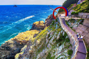 [상품코드 9799][ 당일 - 부산기차여행 ] 수원/대전 출발 KTX - 부산시티투어- 태종대/송도케이블카/흰여울문화마을/산만디투어/자갈치시장 여행(금토일 출발)