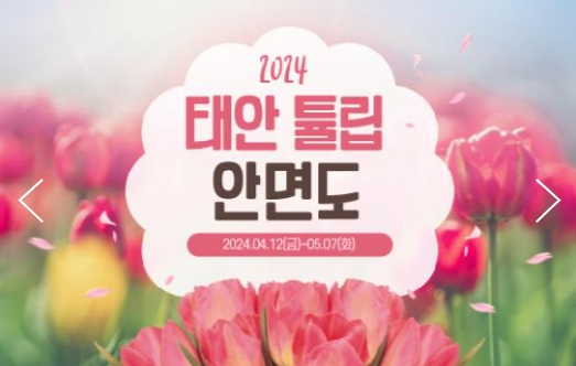 [ 당일 - 태안튤립봄꽃 철도여행 ] 무궁화호 - 태안 세계튤립꽃박람회 & 간월도 & 안면도 자연휴양림 봄꽃여행(용산역,수원역,천안역 출발)