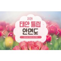 [ 당일 - 태안튤립봄꽃 철도여행 ] 무궁화호 - 태안 세계튤립꽃박람회 & 간월도 & 안면도 자연휴양림 봄꽃여행(용산역,수원역,천안역 출발)
