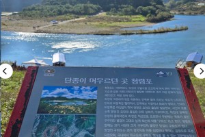 [상품코드 1450] 당일 - 와인열차여행  5월 16일(토) '왕과사는남자' 단종 유배지 영월 청령포 / 장릉 / 고씨굴