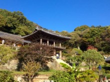 [상품코드 4646] 당일 - 강원도여행 - 천년고찰 영주부석사+선비세상 당일여행  *중식제공*