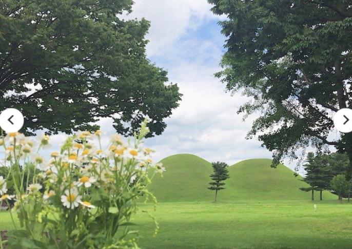 [상품코드 3500] 1박2일 - [KTX] 동해의 빛! 시간여행 경주+울산 태화강국가정원+부산 해변열차 기차여행