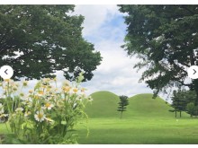 [상품코드 3500] 1박2일 - [KTX] 동해의 빛! 시간여행 경주+울산 태화강국가정원+부산 해변열차 기차여행