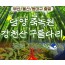 [상품코드 6469] [ 당일기차여행  - 부산,울산,동대구 출발 ] KTX 초록여행! 담양(죽녹원 & 메타세콰이어) ★ 강천산 구름다리 [중식제공]