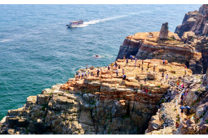 [상품코드 9469] 당일 - 부산시티투어(1탄)  태종대/송도케이블카/흰여울문화마을/산만디투어/자갈치시장 여행(중식제공)대전/동대구 출발