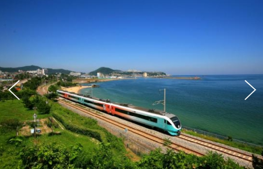 [상품코드9419][ 당일강원도여행  - 동해산타열차 & 정동진 & 동해 논골담길 & 등대공원 & 묵호어시장 자유여행 [출발확정](금토일 출발)