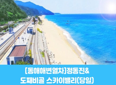 [ 당일 - 부전역출발 동해선 해변열차 정동진 ] - 동해선열차] 정동진&도째비골 스카이밸리 [중식제공] [청량리/대전/부전/포항/북울산 출발]