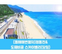 [ 당일 - 부전역출발 동해선 해변열차 정동진 ] - 동해선열차] 정동진&도째비골 스카이밸리 [중식제공] [청량리/대전/부전/포항/북울산 출발]