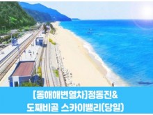 [ 당일 - 부전역출발 동해선 해변열차 정동진 ] - 동해선열차] 정동진&도째비골 스카이밸리 [중식제공] [청량리/대전/부전/포항/북울산 출발]