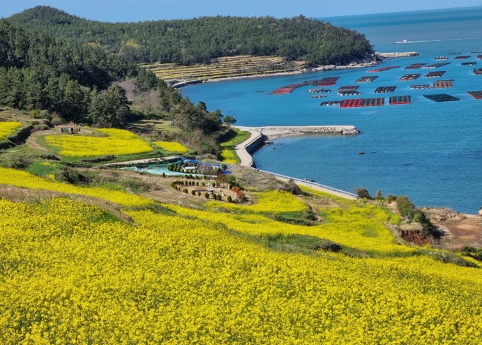 [상품코드 5004]  1박2일 - 청산도여행 [KTX] [SRT] 청산도*완도*해남 대흥사 **(청산도 내 숙박)** (가이드동행)식사(5식-전일정제공)