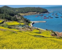 [상품코드 5314] 1박2일 - [ITX-새마을]청산도*완도*해남 대흥사 (청산도 내 숙박) (가이드동행)(수원,평택,천안,서대전탑승)(식사(5식-전일정제공)