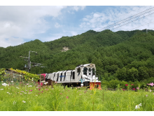 [상품코드 5974] 당일 - 정동진 바다+협곡열차(V-train)+철암-승부-양원-분천-소수서원[당일여행] 2식(중/석식)제공(가이드동행)