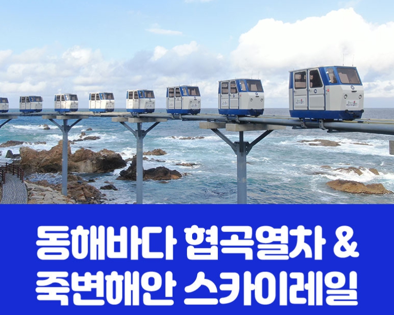 [ 당일 - 협곡열차여행 ] 죽변해안스카이레일&동해바다 협곡열차 [석식제공]  [서울/경기/충청/부산 출발]